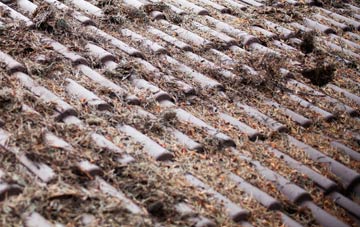 Edburton roof cleaning companies